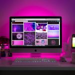 Best Evergreen Niches